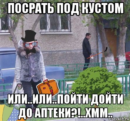 посрать под кустом или..или..пойти дойти до аптеки?!..хмм.., Мем MrEbanko - Будни