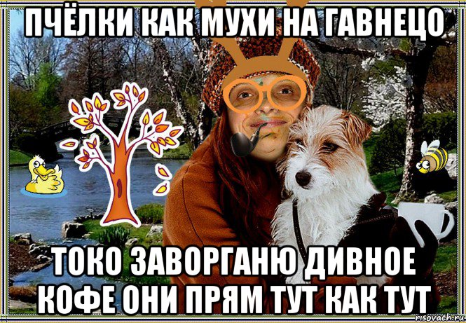 пчёлки как мухи на гавнецо токо заворганю дивное кофе они прям тут как тут