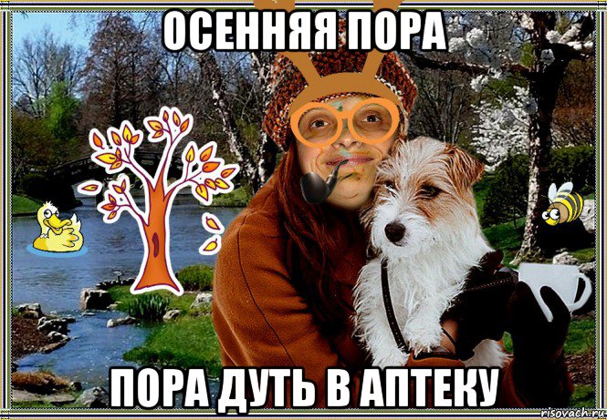 осенняя пора пора дуть в аптеку