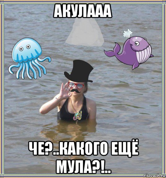 акулааа че?..какого ещё мула?!..