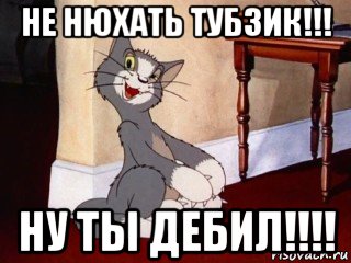 не нюхать тубзик!!! ну ты дебил!!!!, Мем Наглый том