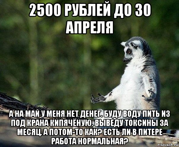 2500 рублей до 30 апреля а на май у меня нет денег. буду воду пить из под крана кипячёную. выведу токсины за месяц. а потом-то как? есть ли в питере работа нормальная?