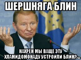 шершняга блин нахрен мы ваще эту хламидомонаду устроили блин?