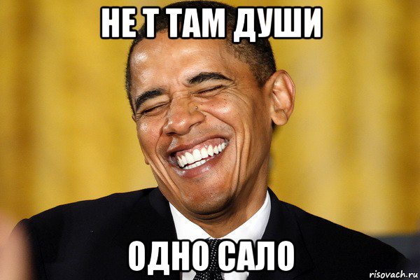не т там души одно сало
