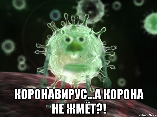  коронавирус...а корона не жмёт?!, Мем Ой на пугал