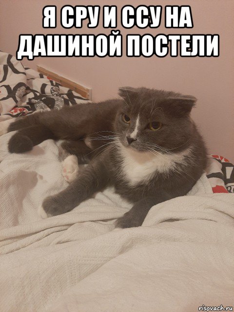 я сру и ссу на дашиной постели 