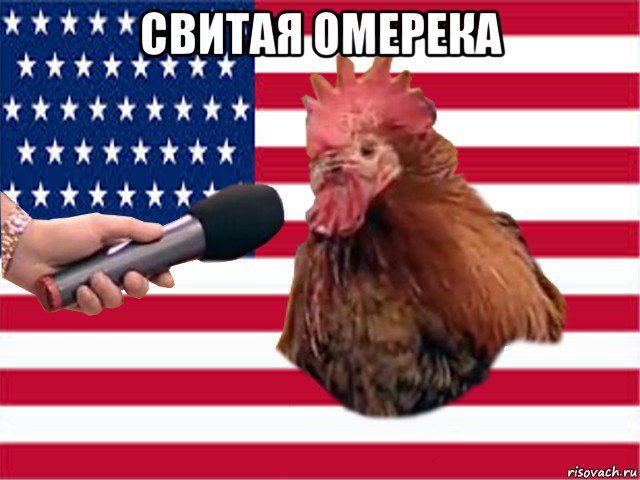 свитая омерека 