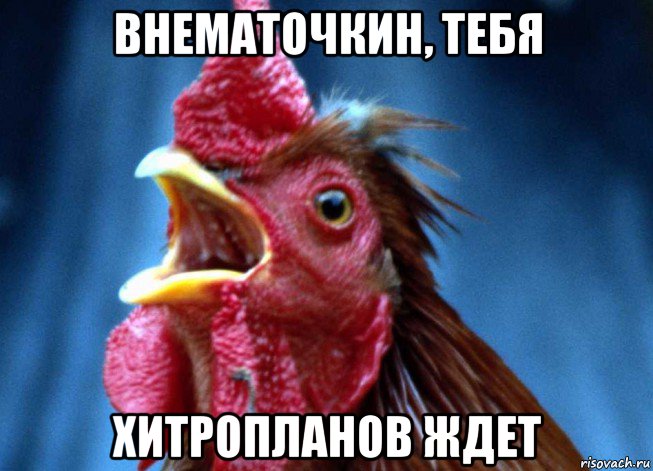 внематочкин, тебя хитропланов ждет, Мем Петух