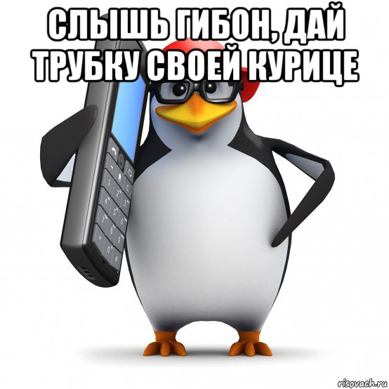 слышь гибон, дай трубку своей курице , Мем   Пингвин звонит