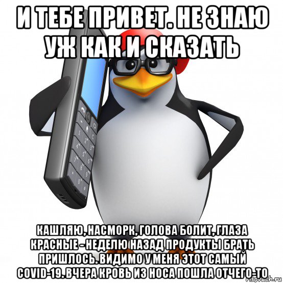 и тебе привет. не знаю уж как и сказать кашляю, насморк, голова болит, глаза красные - неделю назад продукты брать пришлось. видимо у меня этот самый covid-19. вчера кровь из носа пошла отчего-то, Мем   Пингвин звонит