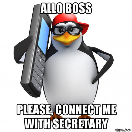 allo boss please, connect me with secretary, Мем   Пингвин звонит