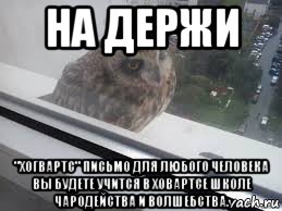 на держи "хогвартс" письмо для любого человека вы будете учится в ховартсе школе чародейства и волшебства.