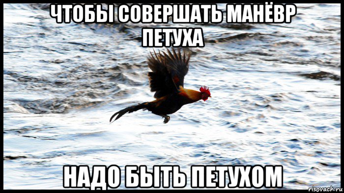 чтобы совершать манёвр петуха надо быть петухом