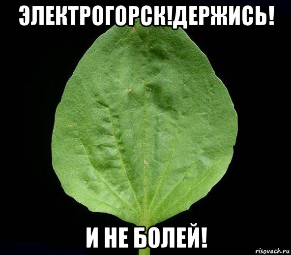 электрогорск!держись! и не болей!