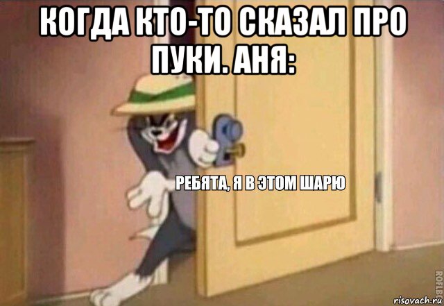 когда кто-то сказал про пуки. аня: , Мем    Ребята я в этом шарю