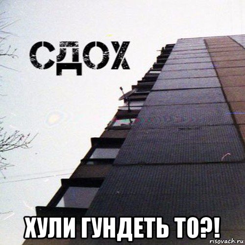  хули гундеть то?!, Мем Rip