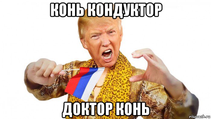 конь кондуктор доктор конь