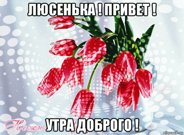 люсенька ! привет ! утра доброго !, Мем С Добрым утром Люсенька