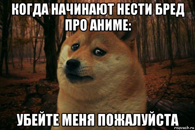 когда начинают нести бред про аниме: убейте меня пожалуйста, Мем SAD DOGE