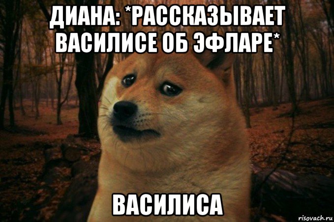 диана: *рассказывает василисе об эфларе* василиса, Мем SAD DOGE