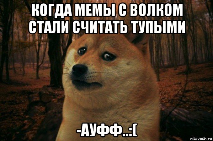 когда мемы с волком стали считать тупыми -ауфф..:(, Мем SAD DOGE