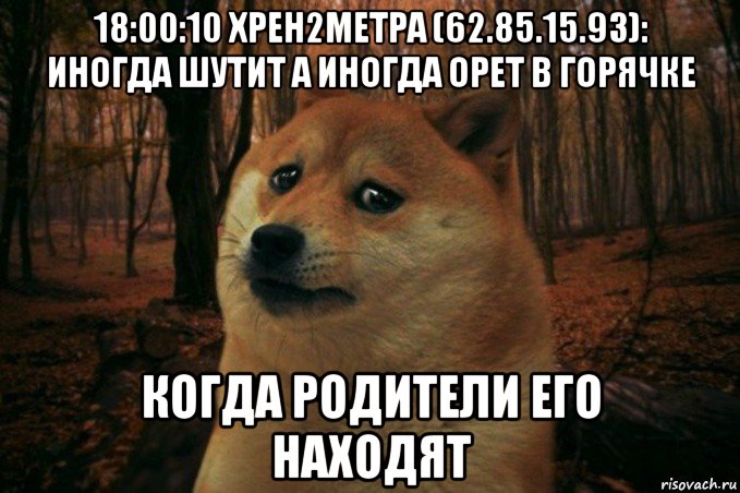 18:00:10 хрен2метра (62.85.15.93): иногда шутит а иногда орет в горячке когда родители его находят