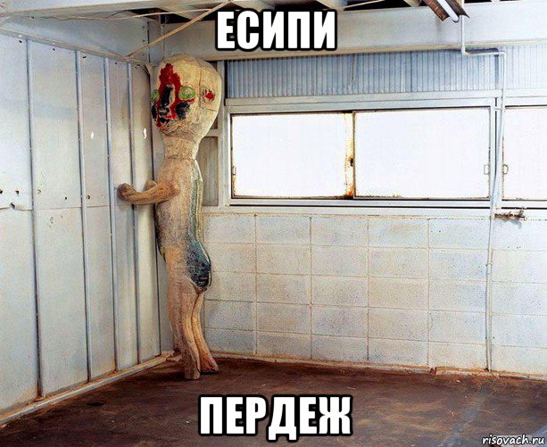 есипи пердеж