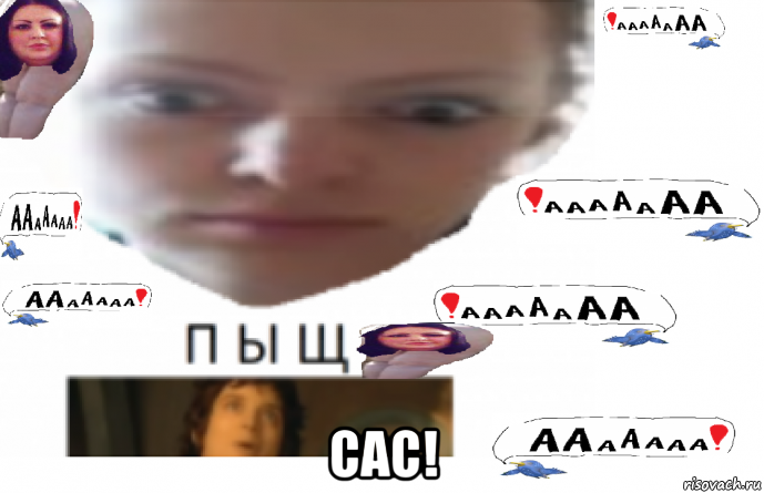  сас!, Мем Сэээээээээссс