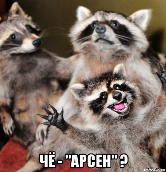  чё - "арсен" ?, Мем Семья енотов