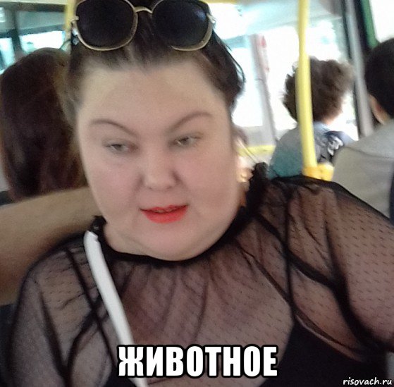  животное