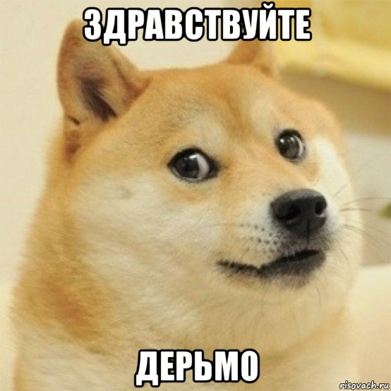 здравствуйте дерьмо