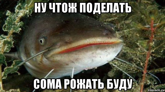 ну чтож поделать сома рожать буду