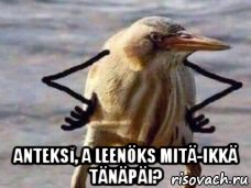  anteksĭ, a leenöks mitä-ikkä tänäpäi?