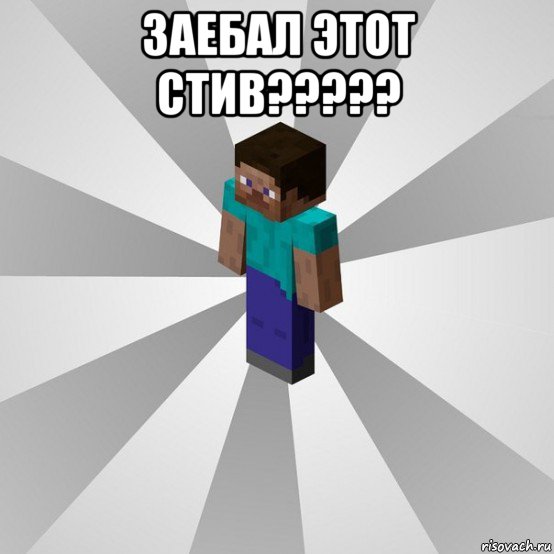 заебал этот стив????? , Мем Типичный игрок Minecraft