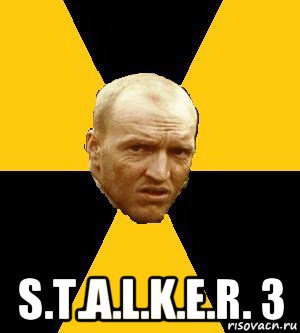  s.t.a.l.k.e.r. 3, Мем Типичный сталкер реал