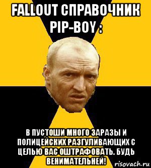 fallout справочник pip-boy : в пустоши много заразы и полицейских разгуливающих с целью вас оштрафовать. будь венимательней!, Мем Типичный сталкер реал