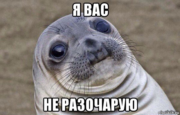 я вас не разочарую