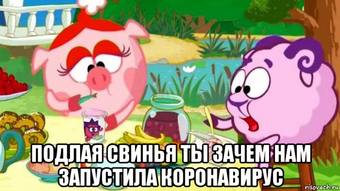  подлая свинья ты зачем нам запустила коронавирус, Мем Тупой Баран и Подлая Свинья