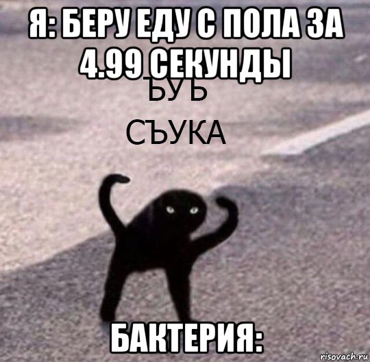 я: беру еду с пола за 4.99 секунды бактерия:, Мем Ъуъ