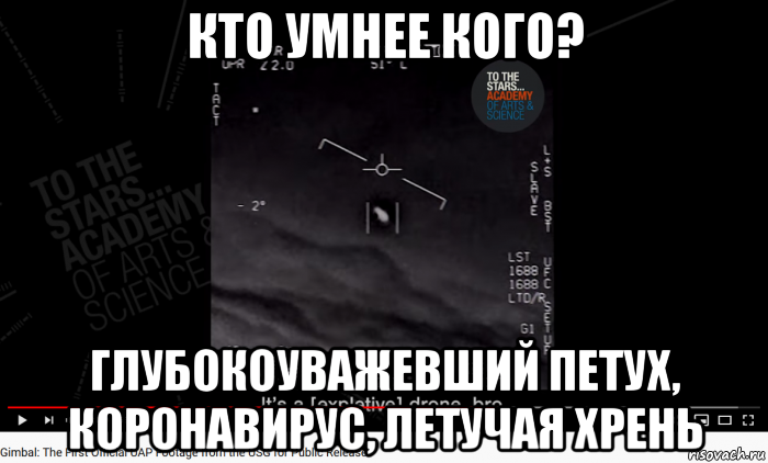 кто умнее кого? глубокоуважевший петух, коронавирус, летучая хрень