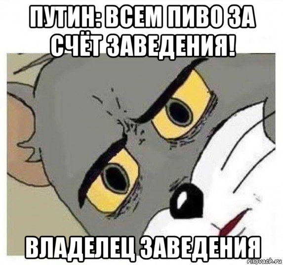 путин: всем пиво за счёт заведения! владелец заведения, Мем Удивленный кот том