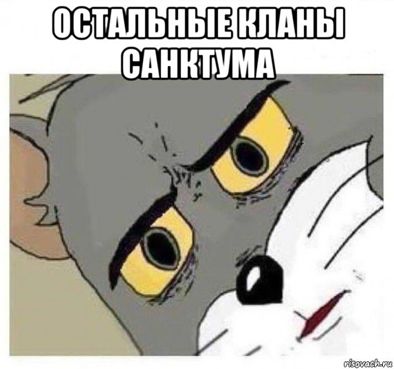 остальные кланы санктума 