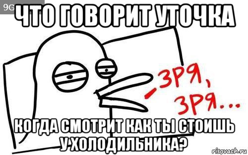 что говорит уточка когда смотрит как ты стоишь у холодильника?, Мем Уточка зря зря