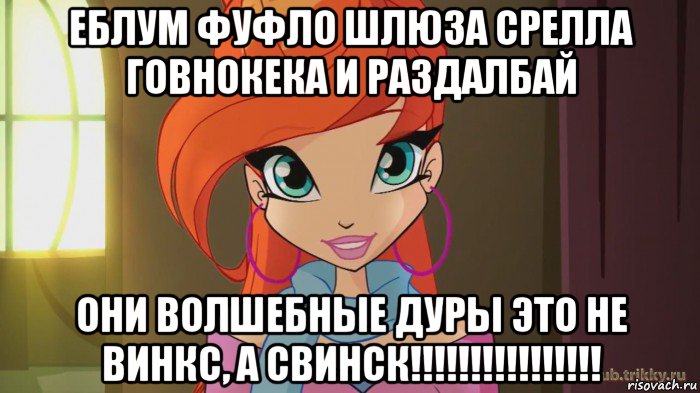 еблум фуфло шлюза срелла говнокека и раздалбай они волшебные дуры это не винкс, а свинск!!!!!!!!!!!!!!!!, Мем Винкс