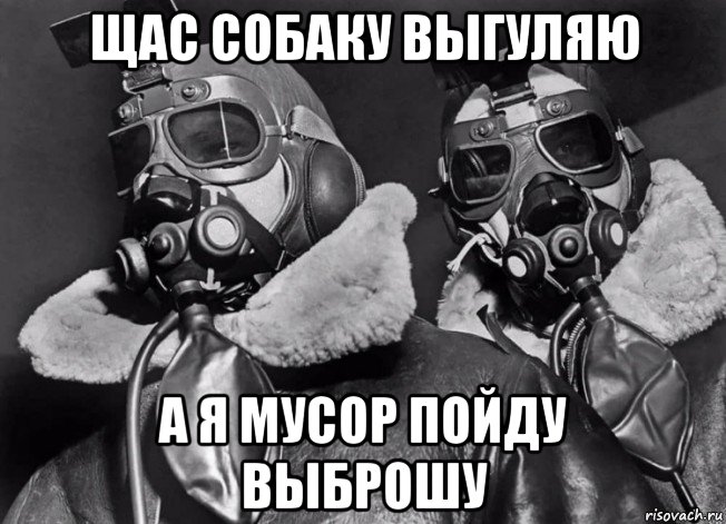 щас собаку выгуляю а я мусор пойду выброшу, Мем Вирус