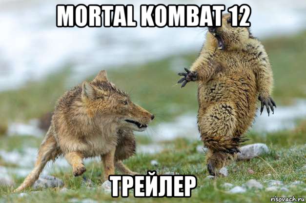 mortal kombat 12 трейлер, Мем Волк и суслик