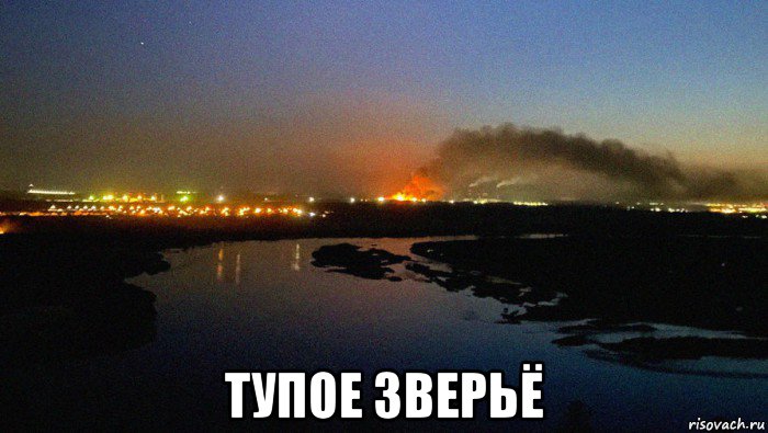  тупое зверьё, Мем Воры