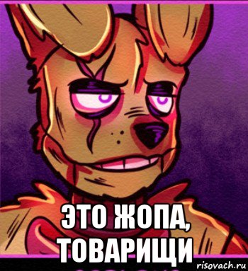  это жопа, товарищи