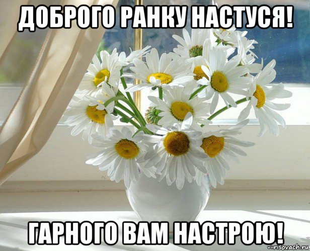 доброго ранку настуся! гарного вам настрою!, Мем xddddd