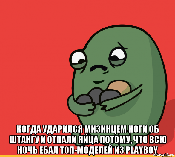  когда ударился мизинцем ноги об штангу и отпали яйца потому, что всю ночь ебал топ-моделей из playboy, Мем  Я сделяль